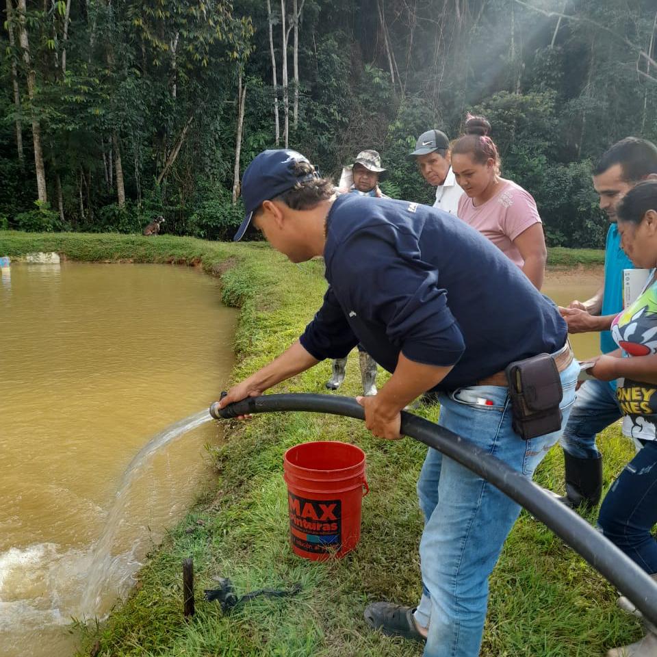 fish ponds